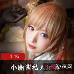 小鹿酱FL姬退役精品资源合集,榨汁水晶棒视频1.4G,口味重私人玩具妹子