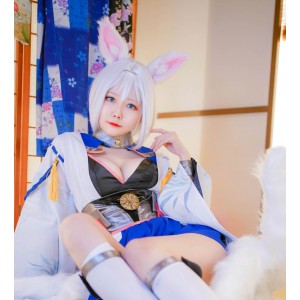 Arty亚缇：59套cos作品7g，收藏148，百度ED2K热门
