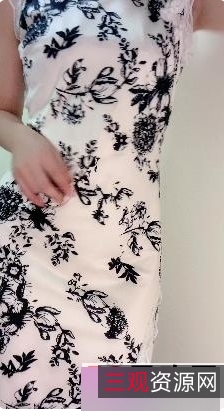 鱼丸女仆JK角色扮演视频合集,25部精美短片,1.73GB,展现青春活力与独特魅力