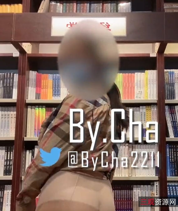 户外勾引查小理最新合集36G，路人互动