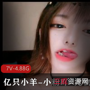 多位平台主播合集，亿只小羊小粉吖尤物糯米等有尺度直播7V4.88G