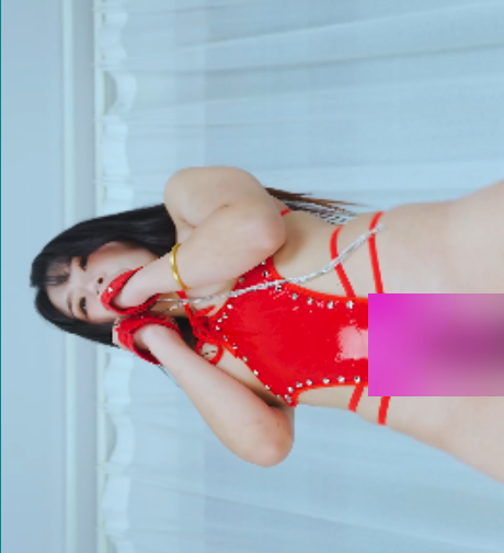 转载搬运艺舞吧热舞丝袜美女晨晨精品合集14V7.81G，加密破解百度盘