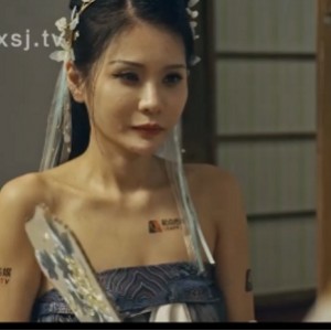 自行打包合集《奇银三国》系列8V5.55G，资源整合，三国题材，度盘下载，解压方式说明