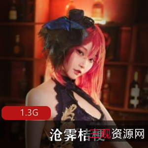 岛国沧霁桔梗兔女合集1.3G，精品cos角色还原，绅士们冲!