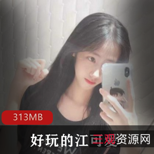 好玩的江可爱视频91合集313MB，绅士必看黑历史