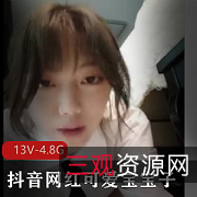 某站可爱宝宝子全L自拍合集13V4.8G呐喊不断