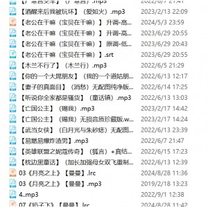 网易云音乐397v骚麦79G优质音频合集超给力