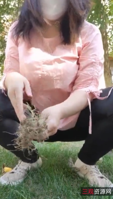 快手柏欣彤风情万种广场舞合集多部57G，熟女紧身裤扭胯湿透