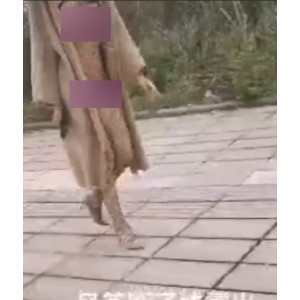 风筝断了线户外展示合集88部33.8G超肉感