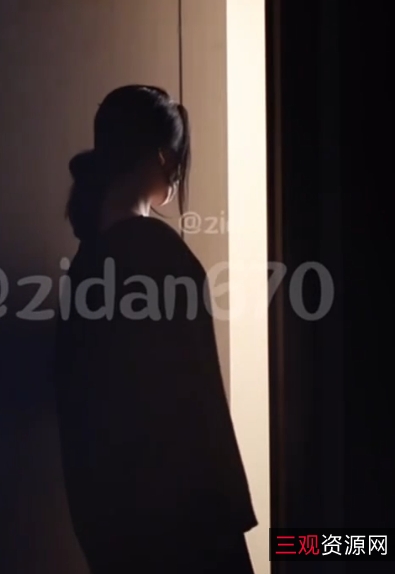 推特紫蛋绝密空姐视频1V833MB内部展示