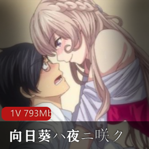 夜之向日葵无修合集1部60帧极致丝滑