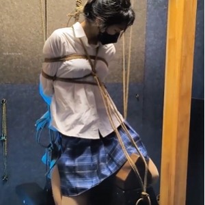 雨辰工作室指教精选合集13V26G绝对实用