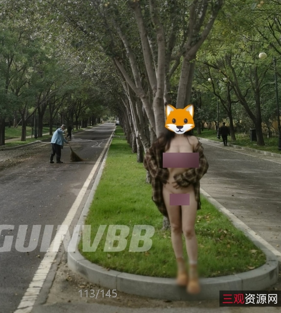 推特小狐狸DANGUNV人前展示合集3V74MB火辣出圈